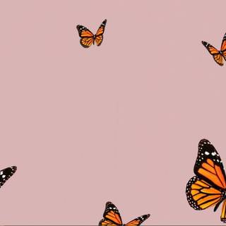 Orange computer aesthetic wallpaper