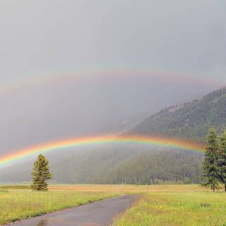 Spring rainbow road wallpaper