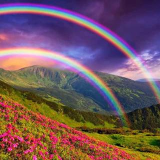 Spring rainbow road wallpaper