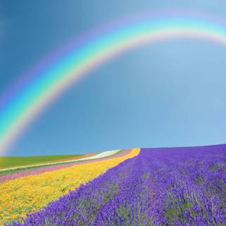 Spring rainbow road wallpaper