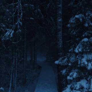 Blue dark winter wallpaper