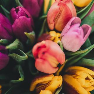 Aesthetic spring nature wallpaper