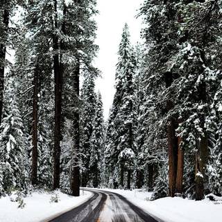 Cute aesthetic winter laptop wallpaper