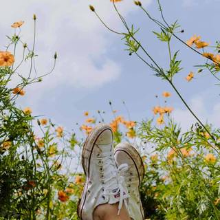 Aesthetic spring nature wallpaper