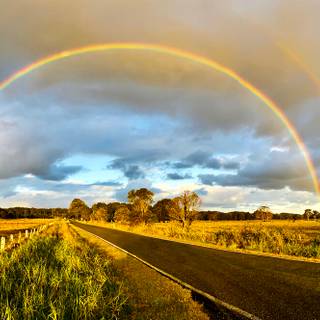 Spring rainbow road wallpaper