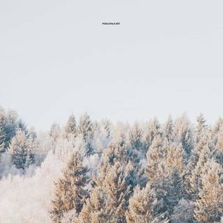 Cute aesthetic winter laptop wallpaper