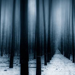 Blue dark winter wallpaper