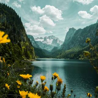 Aesthetic spring nature wallpaper