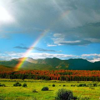 Spring rainbow road wallpaper