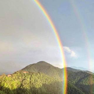 Spring rainbow road wallpaper