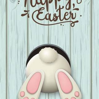 Funny Happy Easter wallpaper