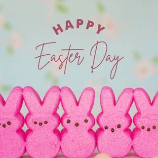 Funny Happy Easter wallpaper