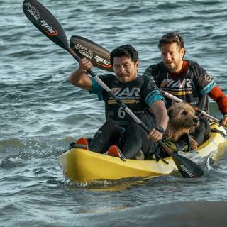 Arthur the King movie wallpaper