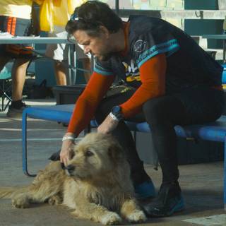 Arthur the King movie wallpaper