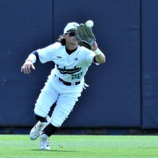 Noah Auburn Bridges wallpaper