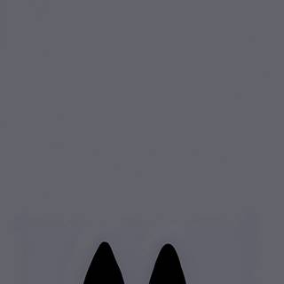 Dark grey cat wallpaper