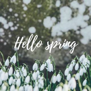 Aesthetic simple spring wallpaper