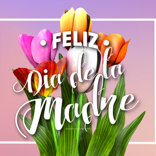 Mother's Day Spanish wallpaper