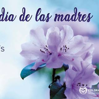 Mother's Day Spanish wallpaper