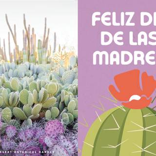 Mother's Day Spanish wallpaper