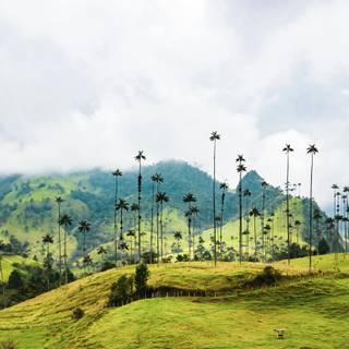 Colombia 4k wallpaper