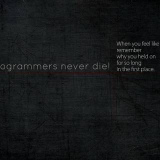 Programmer HD wallpaper