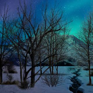 Night snow 4k wallpaper