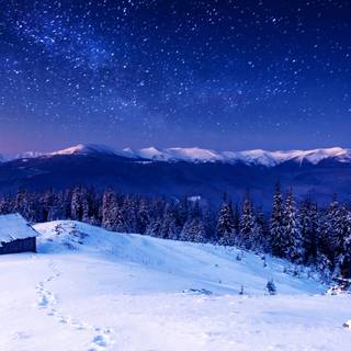 Night snow 4k wallpaper