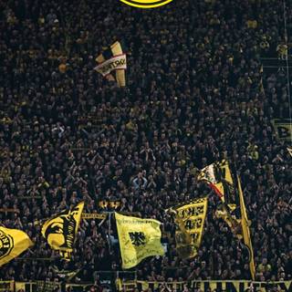 Dortmund fans wallpaper