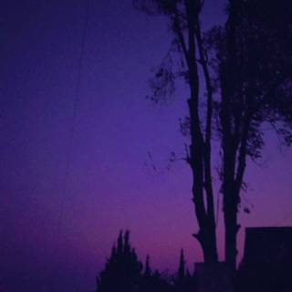 Purple and black sunset wallpaper