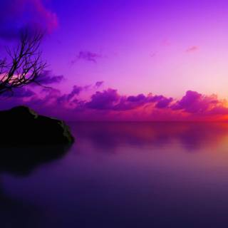Purple and black sunset wallpaper