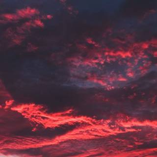 Purple and black sunset wallpaper