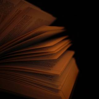 Dark reading wallpaper