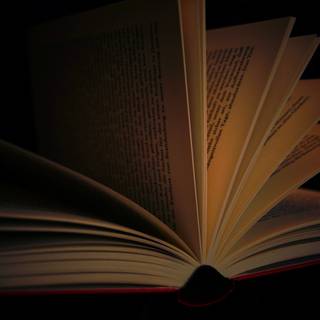 Dark reading wallpaper