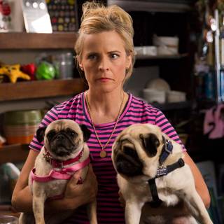 Lady Dynamite wallpaper