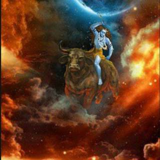 Shiva Nandi wallpaper