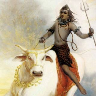 Shiva Nandi wallpaper
