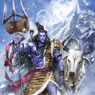 Shiva Nandi wallpaper
