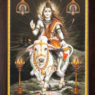 Shiva Nandi wallpaper