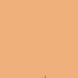 Air bending wallpaper