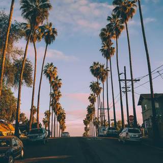 Los Angeles PC wallpaper