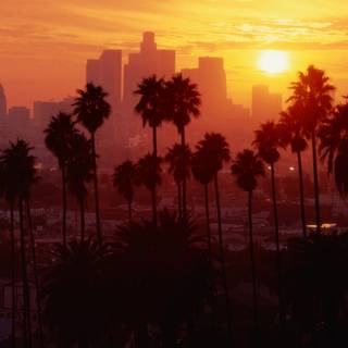 Los Angeles PC wallpaper