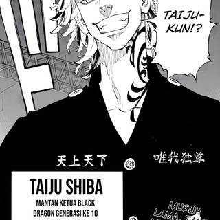 Shiba Taiju wallpaper