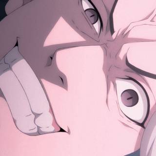 Shiba Taiju wallpaper