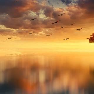 Wide aesthetic wallpaper