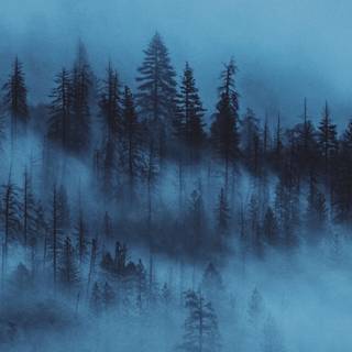 Wide aesthetic wallpaper