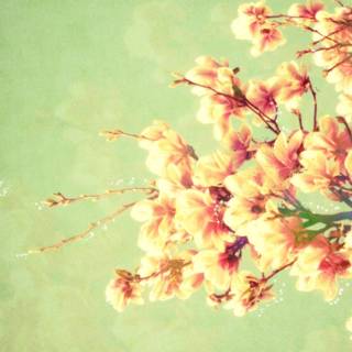 Early spring minimal wallpaper