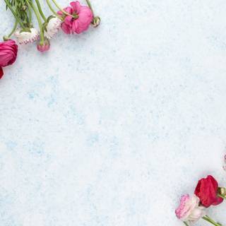 Early spring minimal wallpaper