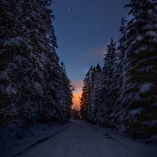 Dark street winter wallpaper