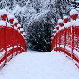 1920x1080 Japan winter wallpaper